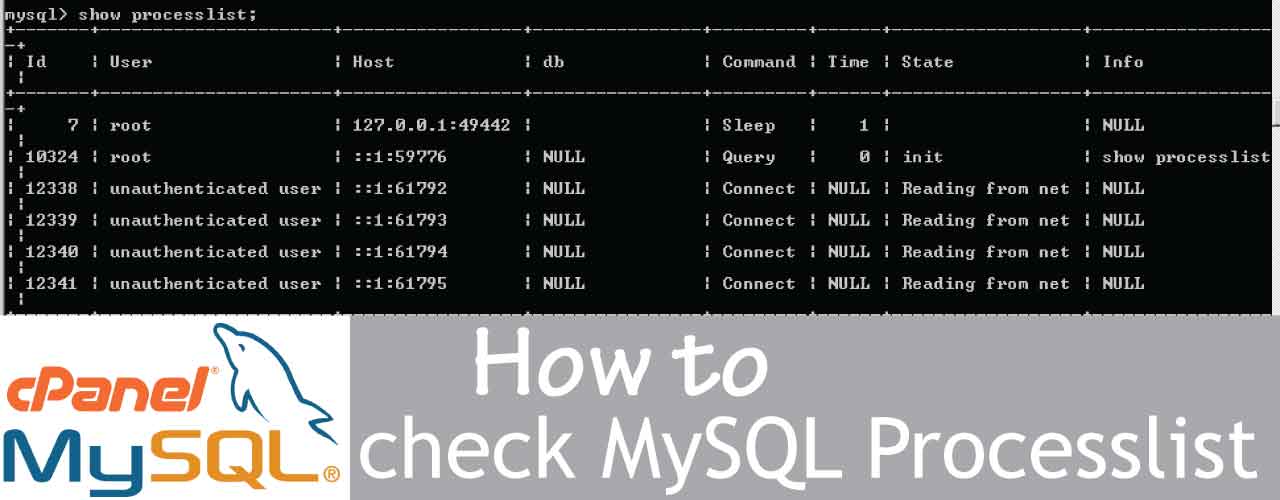 Mysql show processlist