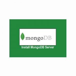 Install-MongoDB